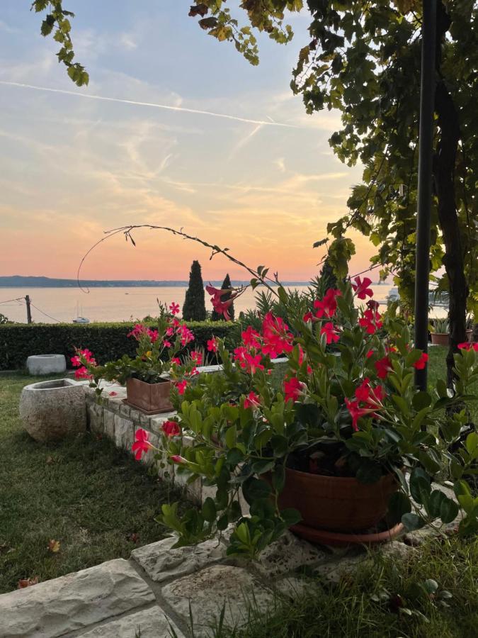 Solare Portorož